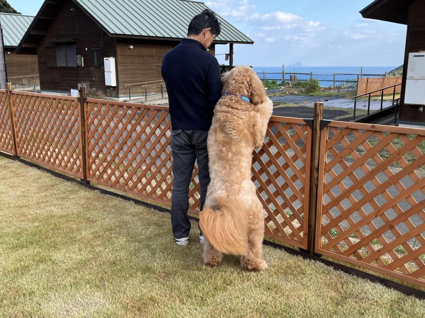 舞鶴ふるるファームコテージ Майдзуру Экстерьер фото